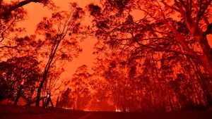 Red sky Australian trees on fire